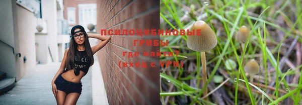 ГАЛЛЮЦИНОГЕННЫЕ ГРИБЫ Балахна
