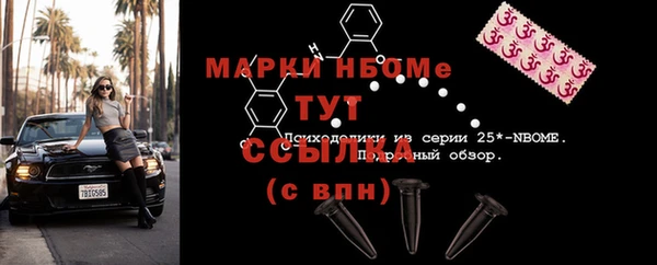 дмт Переславль-Залесский