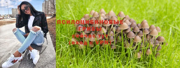 ПСИЛОЦИБИНОВЫЕ ГРИБЫ Пестово