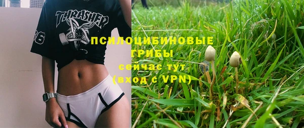 ГАЛЛЮЦИНОГЕННЫЕ ГРИБЫ Балахна