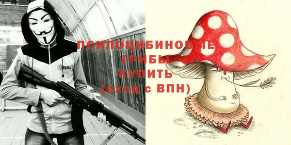 ПСИЛОЦИБИНОВЫЕ ГРИБЫ Пестово