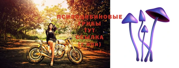 дмт Переславль-Залесский